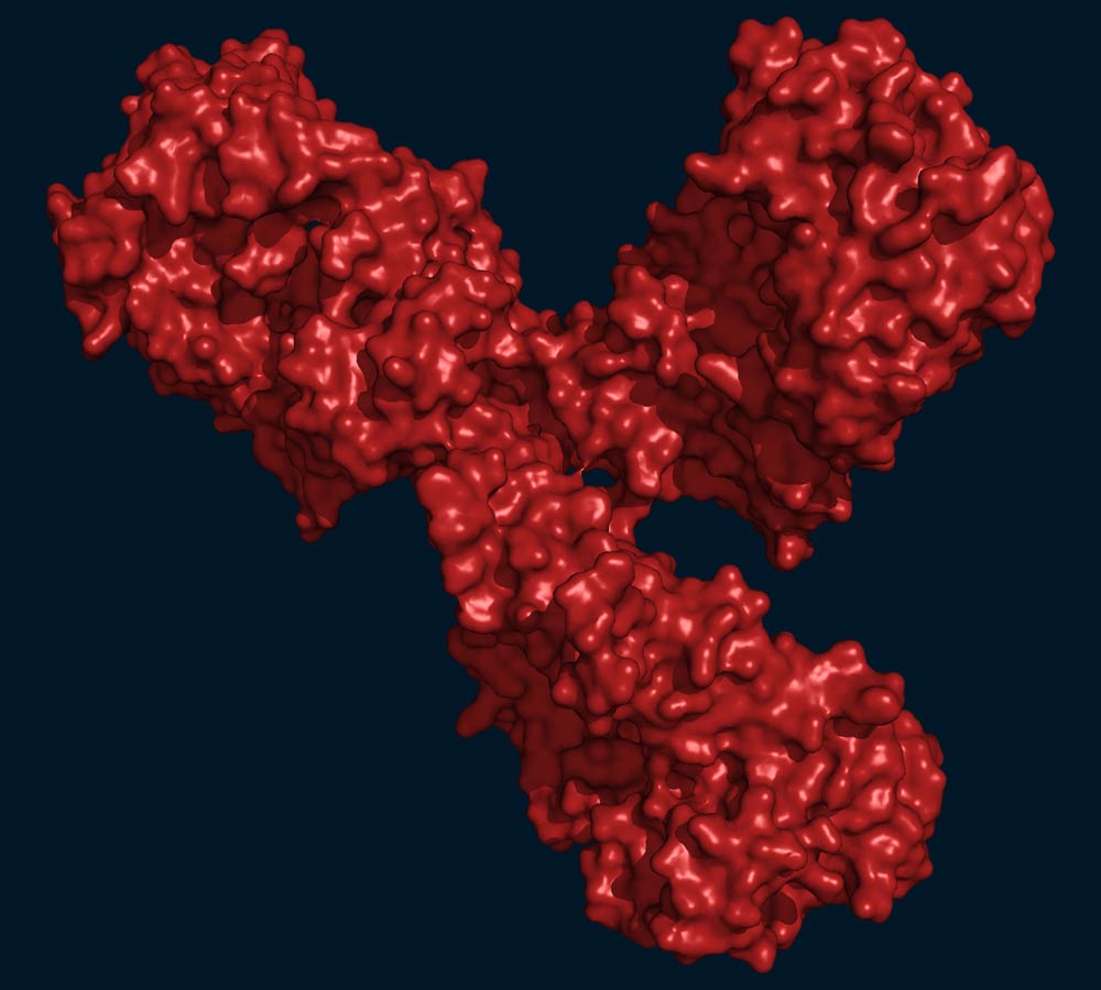 Cymba-X-antibodies-img-1a