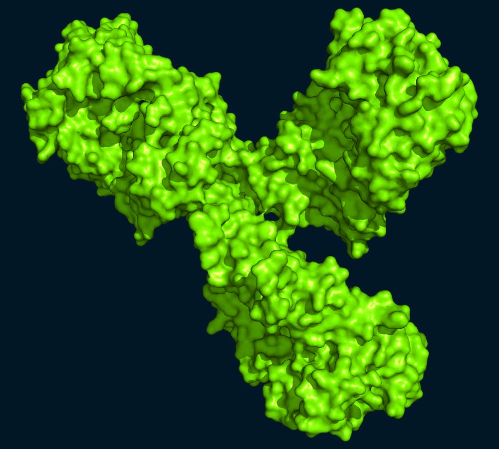 Cymba-X-antibodies-img-2a