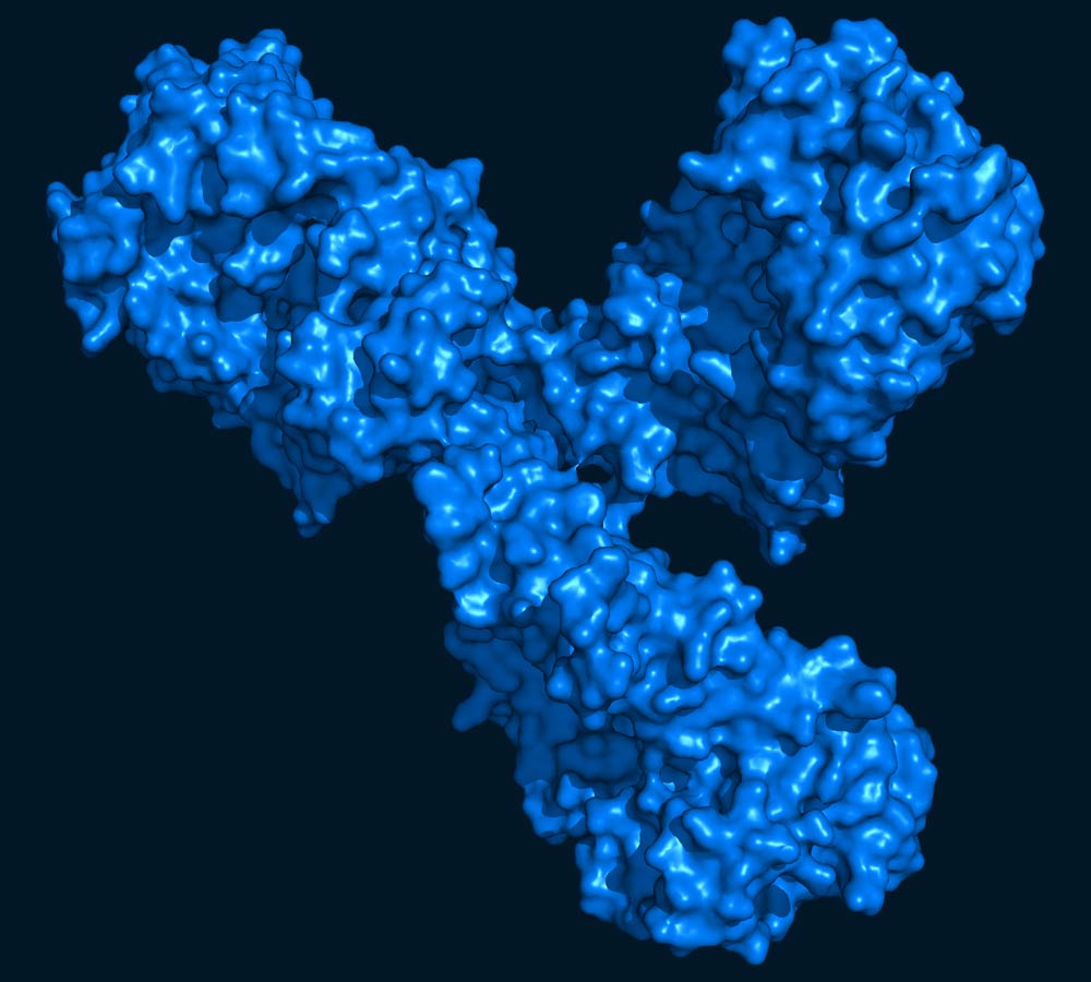 Cymba-X-antibodies-img-3a