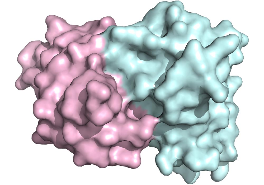 Cymba-X-dna-rna-technology-img-1