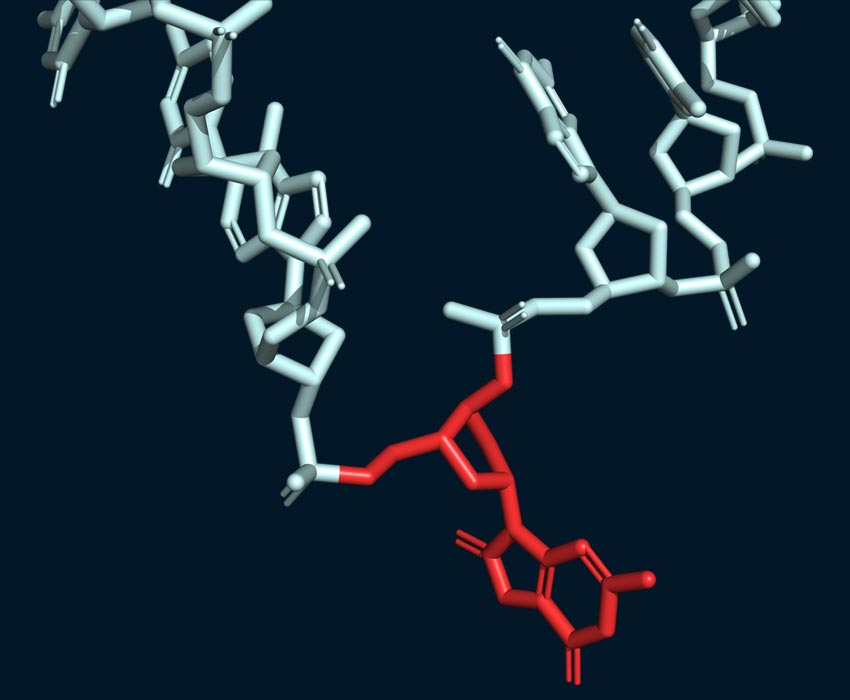 Cymba-X-dna-rna-technology-img-2a