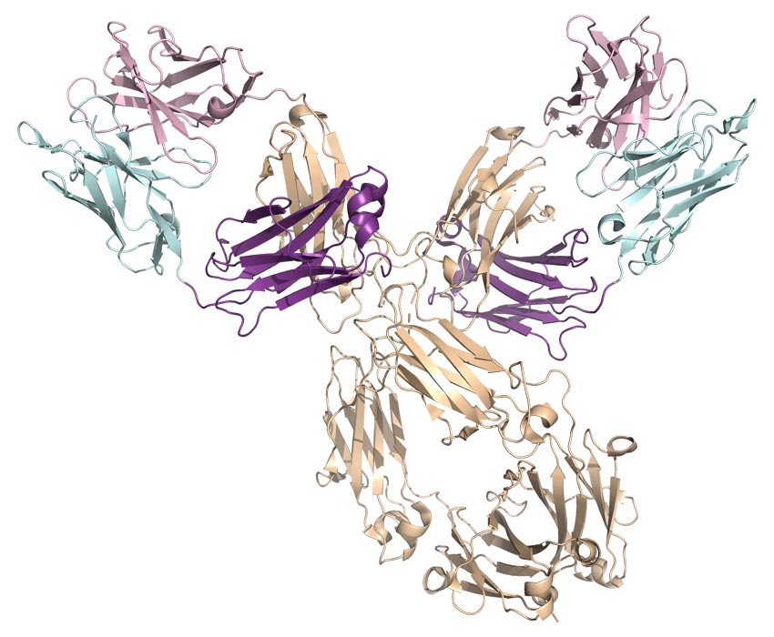 Cymba-X-dna-rna-technology-img-3a