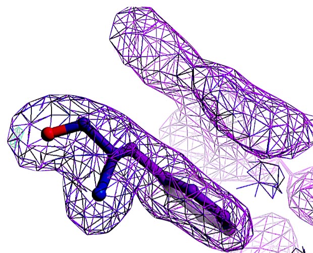 Cymba-X-antibodies-img-8a